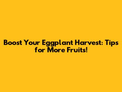 Boost Your Eggplant Harvest: Tips for More Fruits!