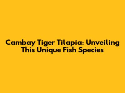 Cambay Tiger Tilapia: Unveiling This Unique Fish Species