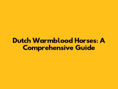 Dutch Warmblood Horses: A Comprehensive Guide