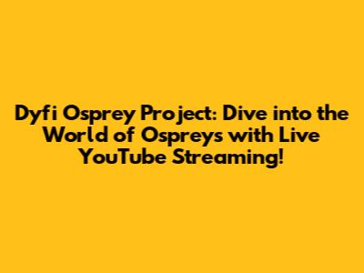 Dyfi Osprey Project: Dive into the World of Ospreys with Live YouTube Streaming!