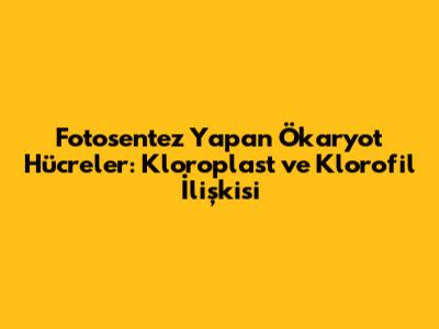 Fotosentez Yapan Ökaryot Hücreler: Kloroplast ve Klorofil İlişkisi