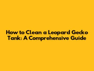 How to Clean a Leopard Gecko Tank: A Comprehensive Guide