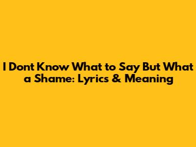 I Don't Know What to Say But What a Shame: Lyrics & Meaning