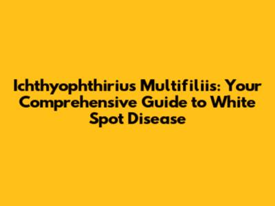 Ichthyophthirius Multifiliis: Your Comprehensive Guide to White Spot Disease