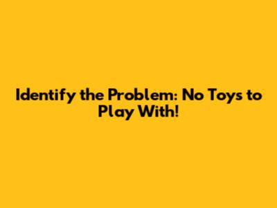 Identify the Problem: No Toys to Play With!