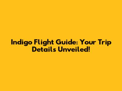 Indigo Flight Guide: Your Trip Details Unveiled!