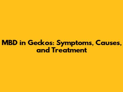 MBD in Geckos: Symptoms, Causes, and Treatment