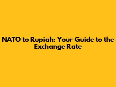 NATO to Rupiah: Your Guide to the Exchange Rate