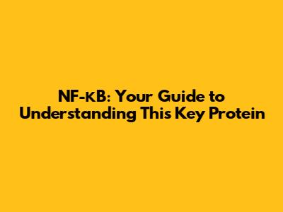 NF-κB: Your Guide to Understanding This Key Protein