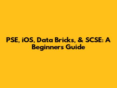 PSE, iOS, Data Bricks, & SCSE: A Beginner's Guide