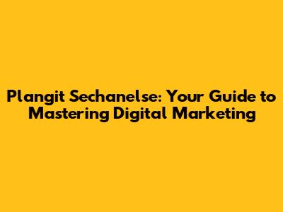 Plangit Sechanelse: Your Guide to Mastering Digital Marketing