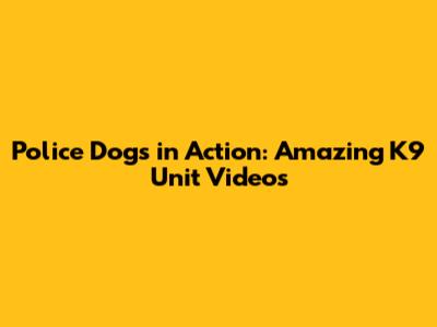 Police Dogs in Action: Amazing K9 Unit Videos