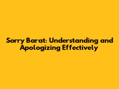 Sorry Barat: Understanding and Apologizing Effectively