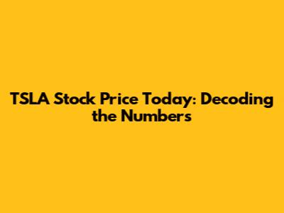 TSLA Stock Price Today: Decoding the Numbers